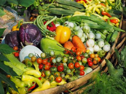 Planetary Health Diet in der Klinik, Gesundes Essen für kranke Menschen